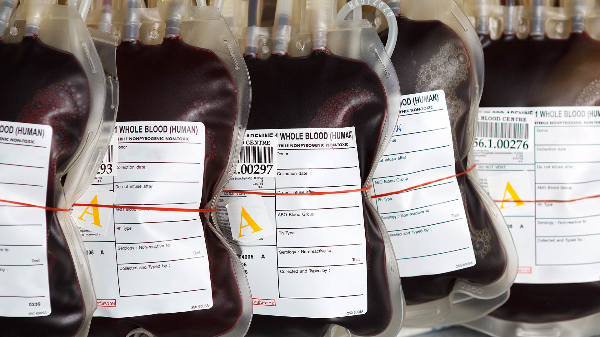 Organ Donor & Blood Transport